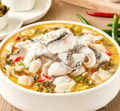 Snakehead Fish Fillets
